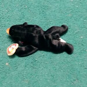 Blackie the black bear 